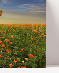 After Hover: Heißluftballon über einer Blumenwiese