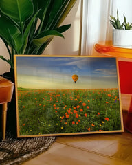 After Hover: Heißluftballon über einer Blumenwiese