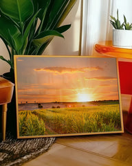 After Hover: Sonnenuntergang am Feld