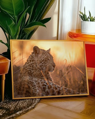 After Hover: Leopard in der Savanne Afrikas