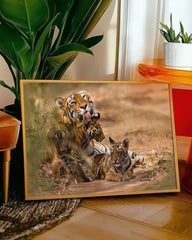 After Hover: Tiger-Familie