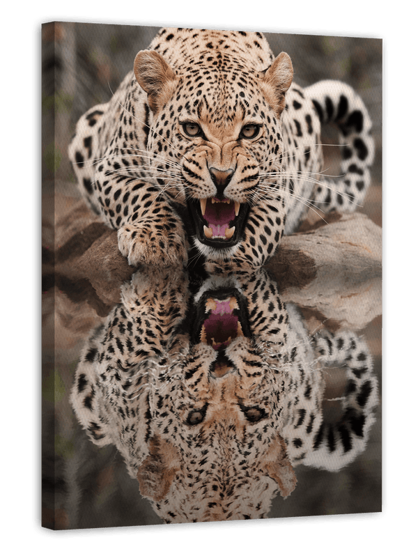 Fauchender Leopard