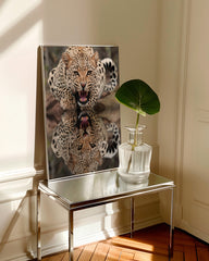 After Hover: Fauchender Leopard