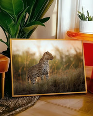 After Hover: Leopard im hohen Gras