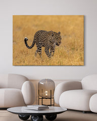 After Hover: Leopard