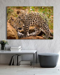 After Hover: Leoparden-Mutter und Junges