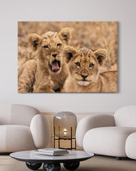 After Hover: Löwen-Babies