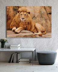 After Hover: Afrikanische Wildtiere - Stolzer Löwe auf Felsen