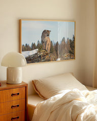 After Hover: Puma in Berglandschaft