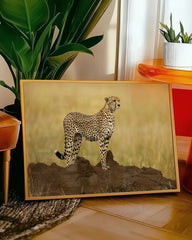 After Hover: Gepard in der Savanne