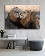 After Hover: Kuschelnde Löwen