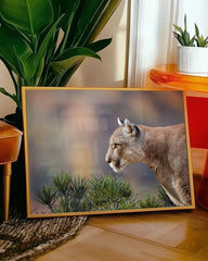 After Hover: Puma im Profil