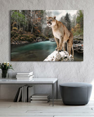 After Hover: Puma am Fluss