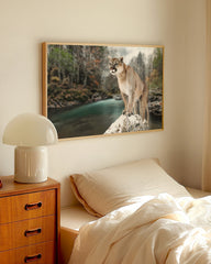 After Hover: Puma am Fluss