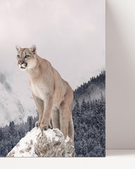 After Hover: Puma in Berglandschaft