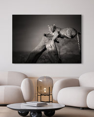 After Hover: Leopard auf Baum - Schwarz-Weiß