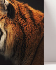 After Hover: Tiger im Profil