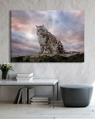 After Hover: Schneeleopard