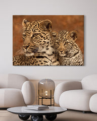 After Hover: Leoparden-Familie