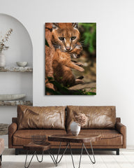 After Hover: Karakal-Katze mit Baby