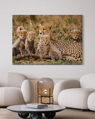 After Hover: Geparden-Familie