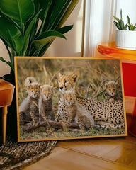 After Hover: Geparden-Familie