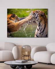 After Hover: Spielende Tiger