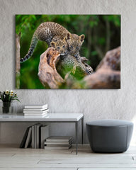 After Hover: Süße Leoparden-Babies