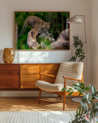 After Hover: Süße Leoparden-Babies