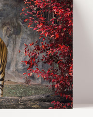 After Hover: Tiger in Herbstlandschaft