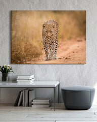 After Hover: Leopard in der Savanne