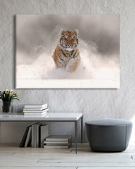 After Hover: Tiger im Schnee - Sonnige Winter-Landschaft Tier Fotografie