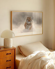 After Hover: Tiger im Schnee - Sonnige Winter-Landschaft Tier Fotografie