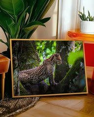 After Hover: Ozelot - Großkatze