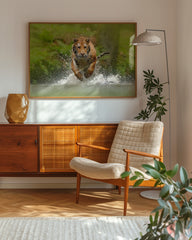 After Hover: Rennender Tiger im Wasser