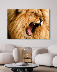 After Hover: Gähnender Löwe