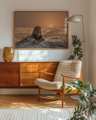 After Hover: Löwe bei Sonnenuntergang