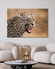 After Hover: Fauchender Leopard