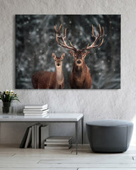 After Hover: Hirsch-Paar im Winter