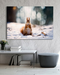 After Hover: Eichhörnchen im Schnee