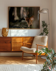 After Hover: Rehbock im Wald