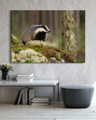 After Hover: Dachs im Wald