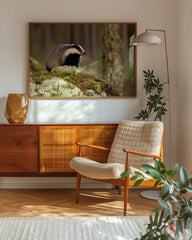 After Hover: Dachs im Wald