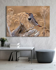 After Hover: Vogel im Sommer