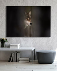 After Hover: Wolf - Wildtier Fotografie