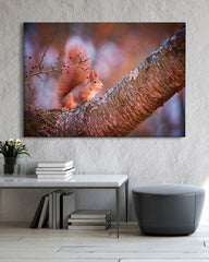 After Hover: Eichhörnchen auf einem Ast