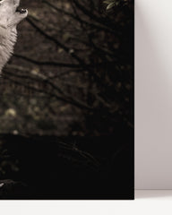 After Hover: Heulender Wolf