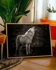 After Hover: Heulender Wolf