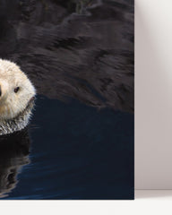 After Hover: Schwimmender Seeotter