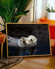 After Hover: Schwimmender Seeotter